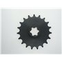 Piñón cadena Z19