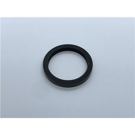 Goma pinza anterior V10