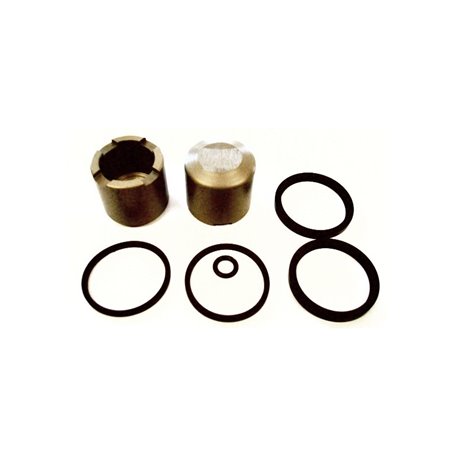 Kit revisión pinza posterior V09