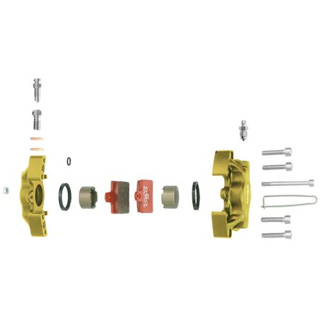 Semi pinza anterior V05 derecha oro