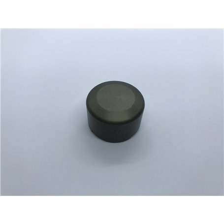 Pistoncino pinza anterior V05