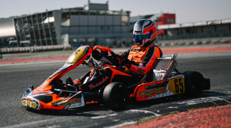 Lesiones en el Karting