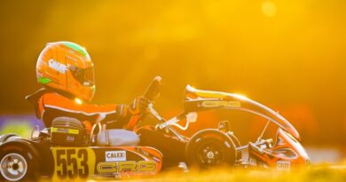 El mantenimiento de un kart en primavera