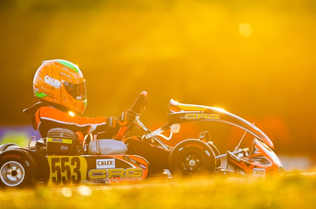 El mantenimiento de un kart en primavera